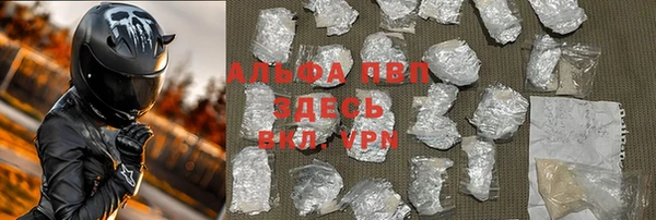 прущая мука Пересвет