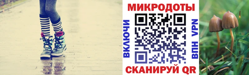 купить наркотики цена  Геленджик  Псилоцибиновые грибы мухоморы 